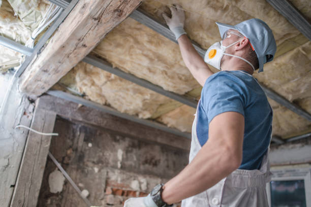 Best Geographic-Specific Insulation Services in Lus Valley Marinwood, CA