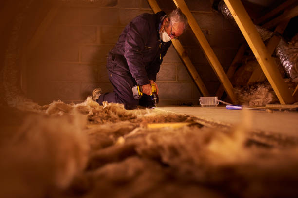 Best Eco-Friendly Insulation in Lus Valley Marinwood, CA